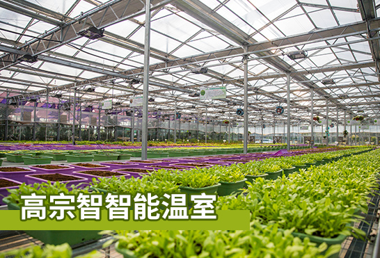 公司簡介